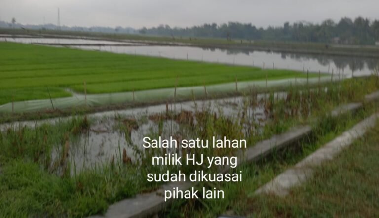 1000644358